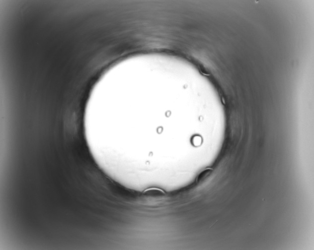 X0000088151163200706042023