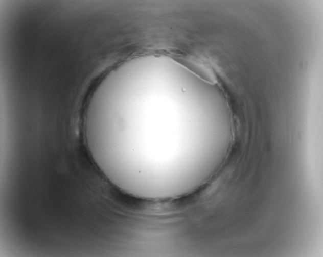 X0000088151165200706042023