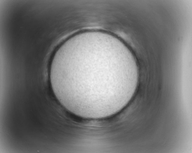 X0000088151167200706042023