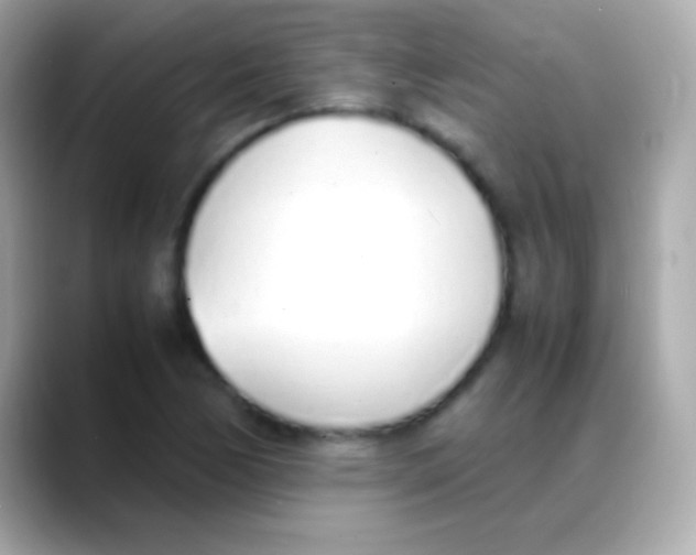 X0000088151170200706042023