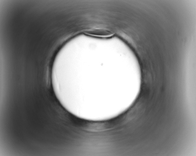 X0000088151171200706042023