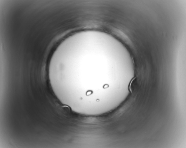 X0000088151172200706042023