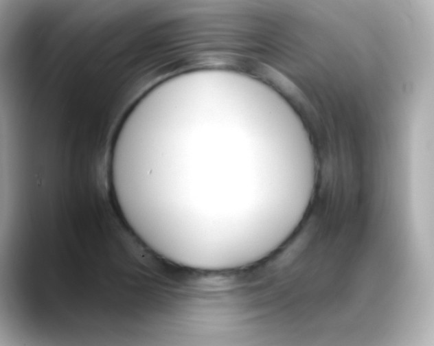 X0000088151178200706042023