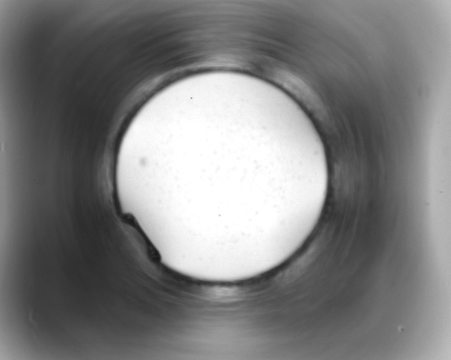 X0000088151180200706042023