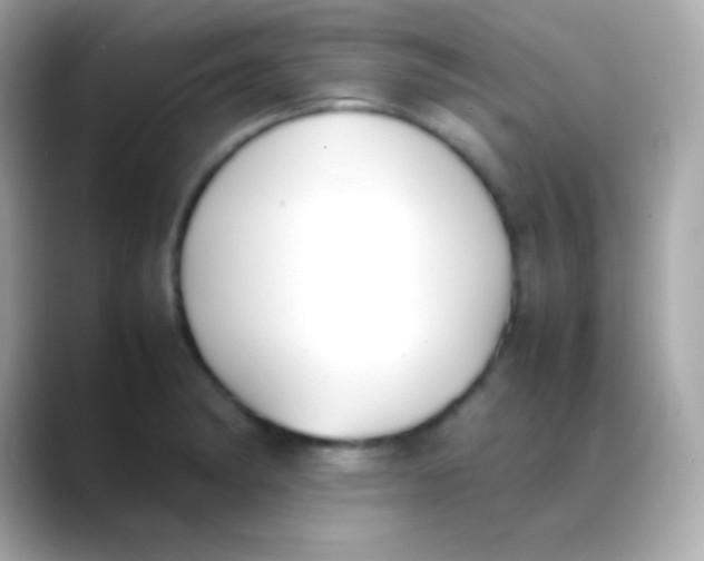 X0000088151182200706042023