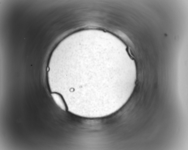 X0000088151183200706042023