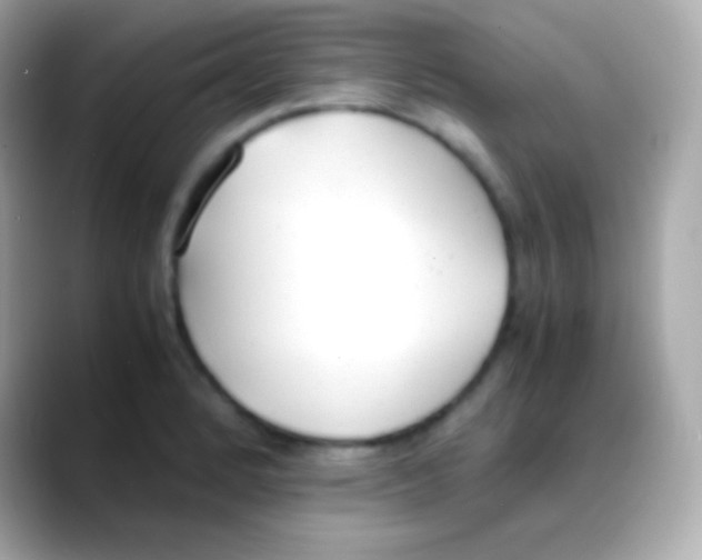 X0000088151184200706042023