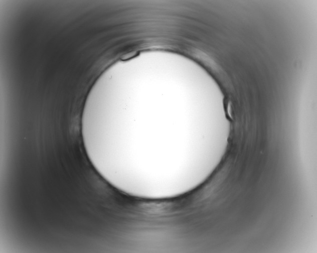 X0000088151185200706042023