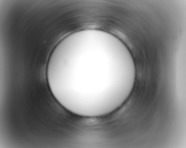 X0000088151186200706042023