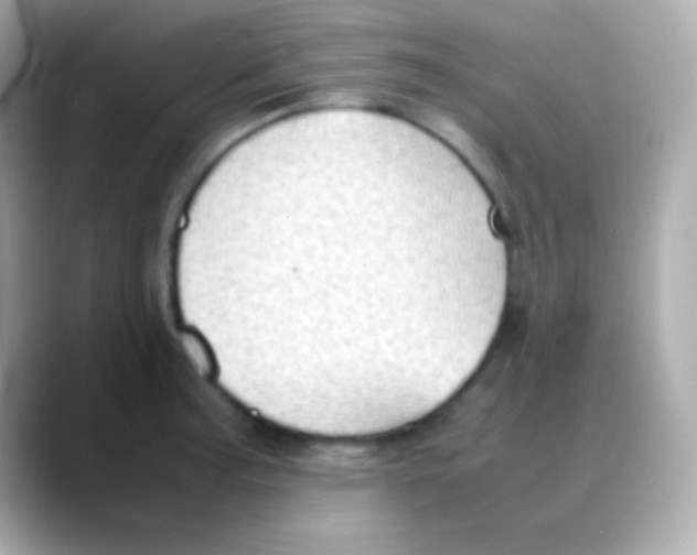 X0000088151187200706042023