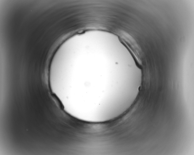 X0000088151188200706042023