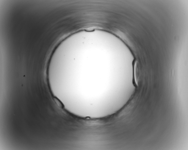 X0000088151189200706042023