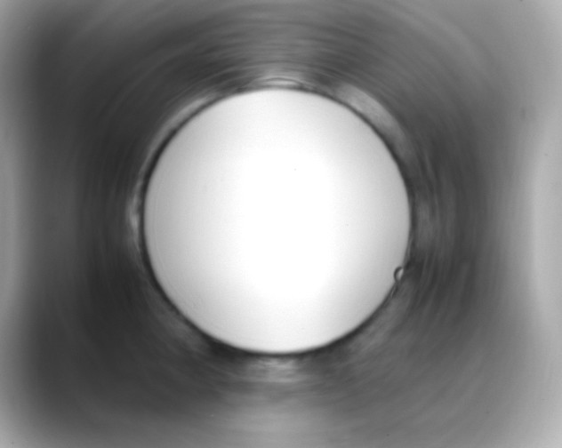 X0000088151190200706042023