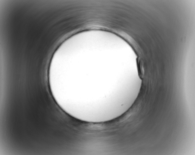 X0000088151191200706042023