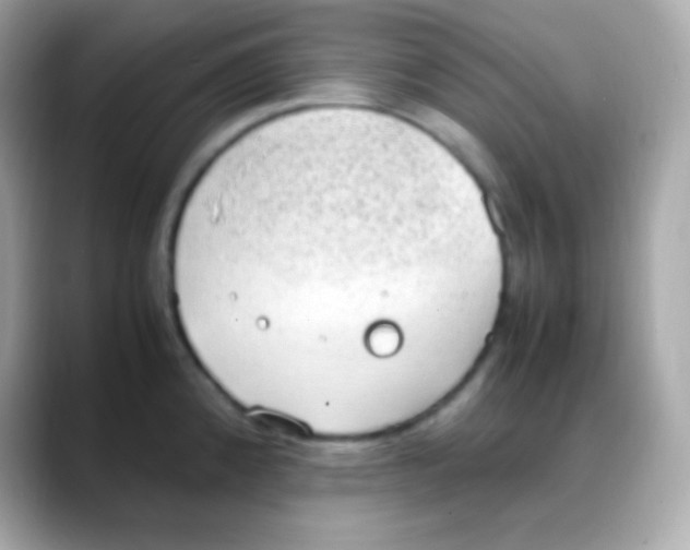 X0000088151192200706042023