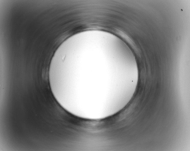 X0000088151193200706042023