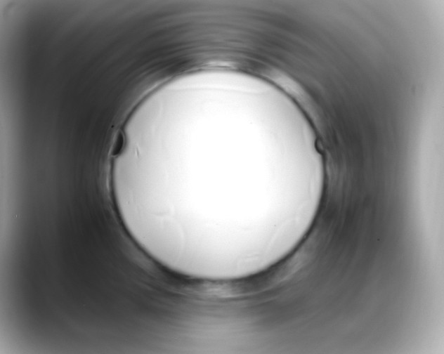 X0000088151194200706042023