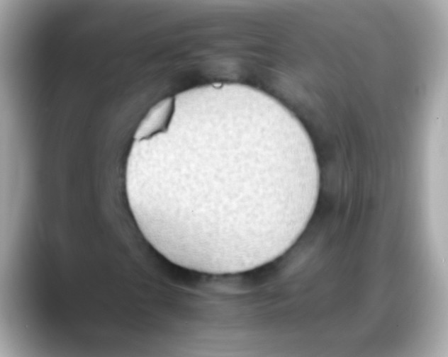 X0000088151201200706042022