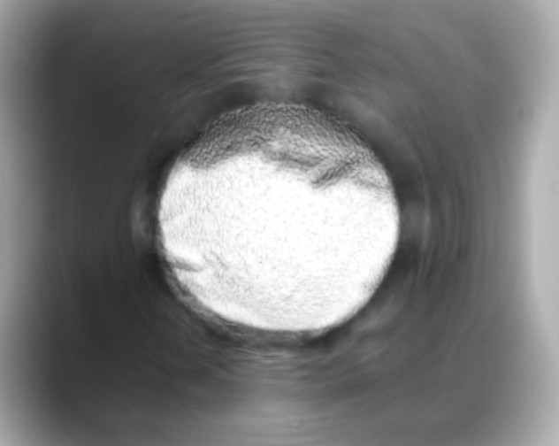 X0000088151202200706042022