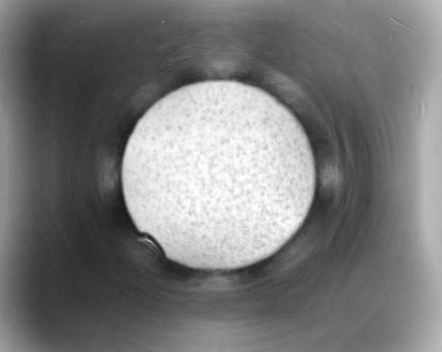 X0000088151204200706042022