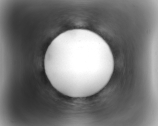 X0000088151205200706042022