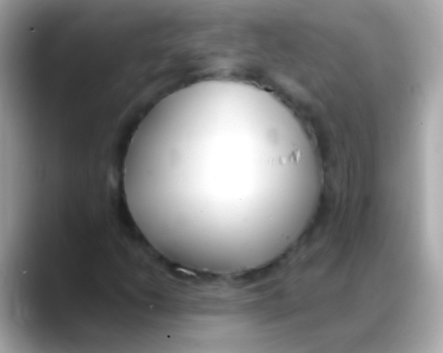 X0000088151206200706042022