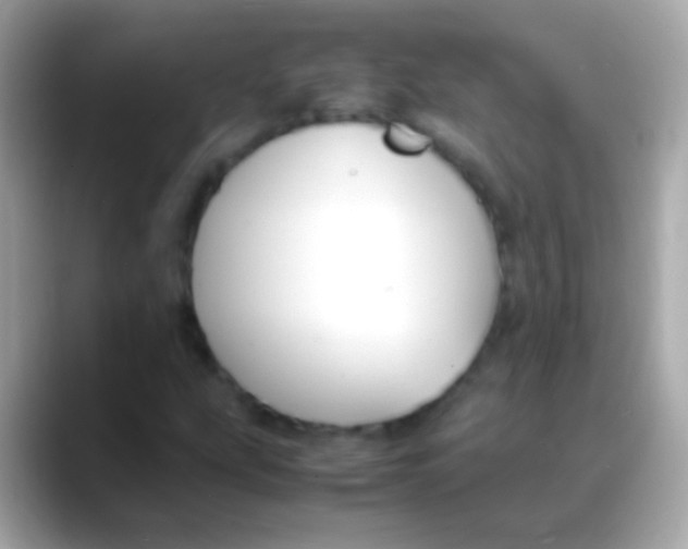 X0000088151207200706042022