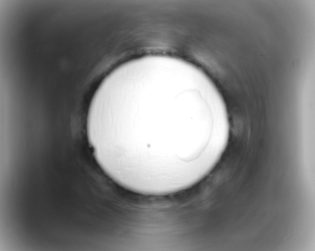 X0000088151208200706042022