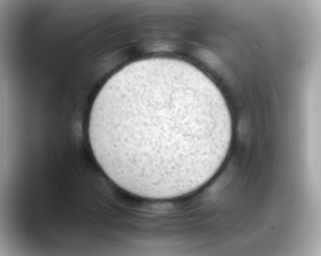 X0000088151209200706042022