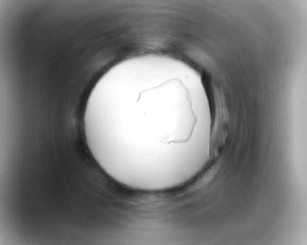 X0000088151210200706042022