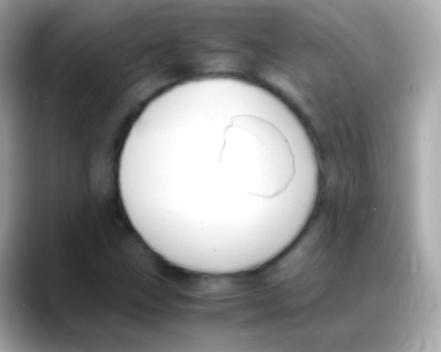 X0000088151211200706042022