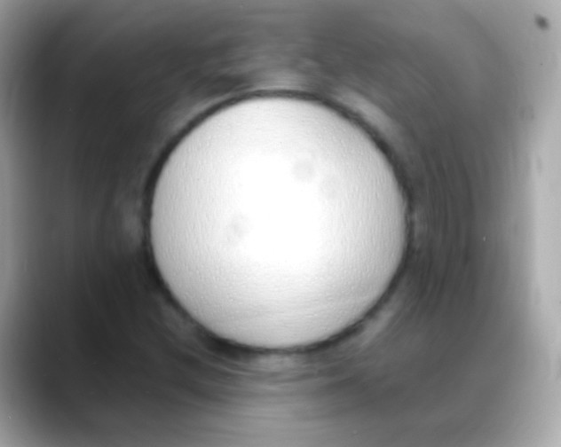 X0000088151212200706042022