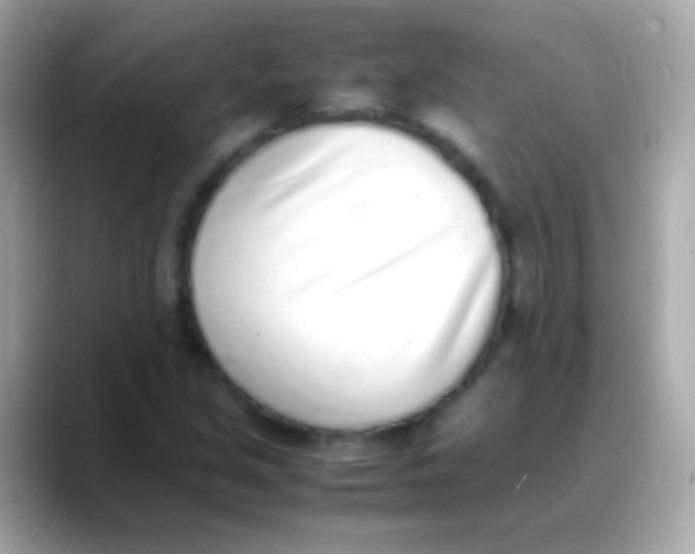 X0000088151213200706042022