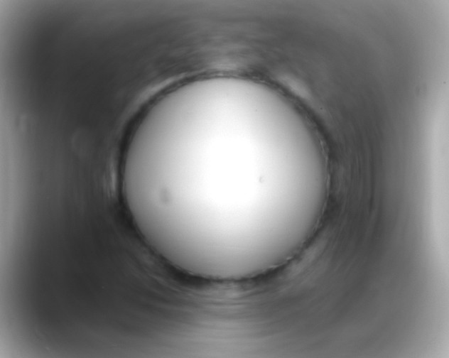 X0000088151214200706042022