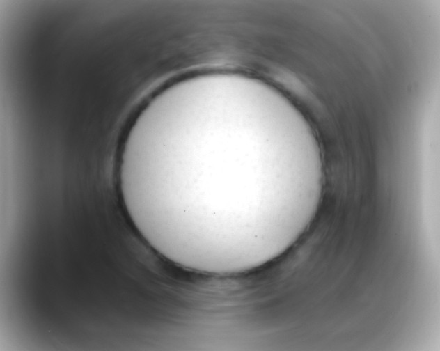 X0000088151216200706042022