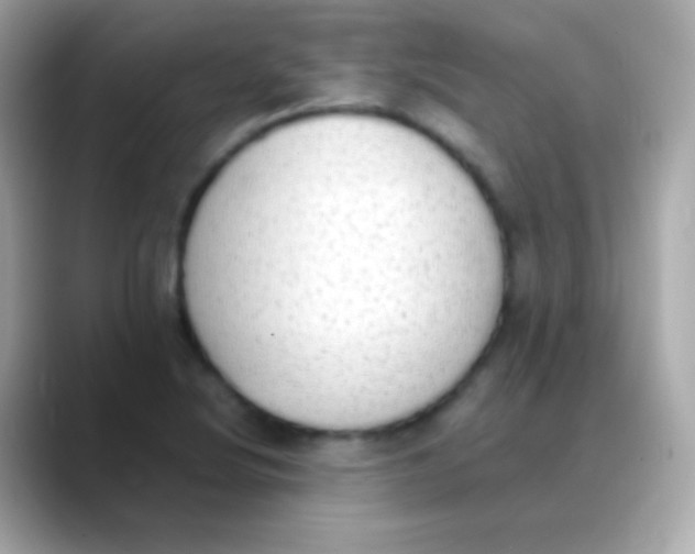 X0000088151220200706042022