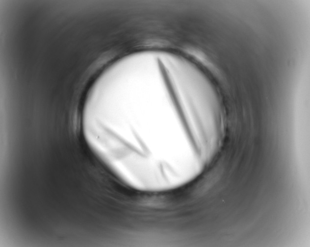 X0000088151221200706042022