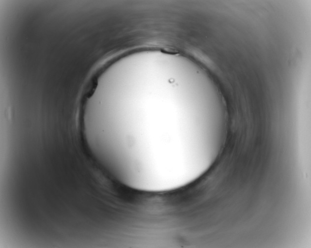 X0000088151222200706042022