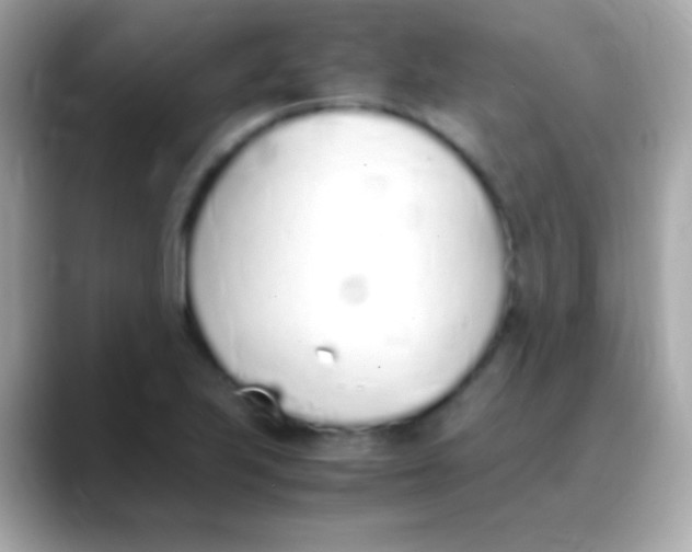 X0000088151223200706042022