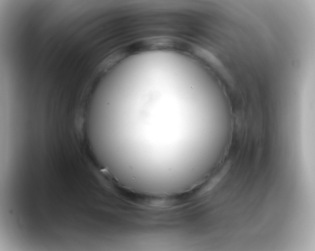 X0000088151225200706042022