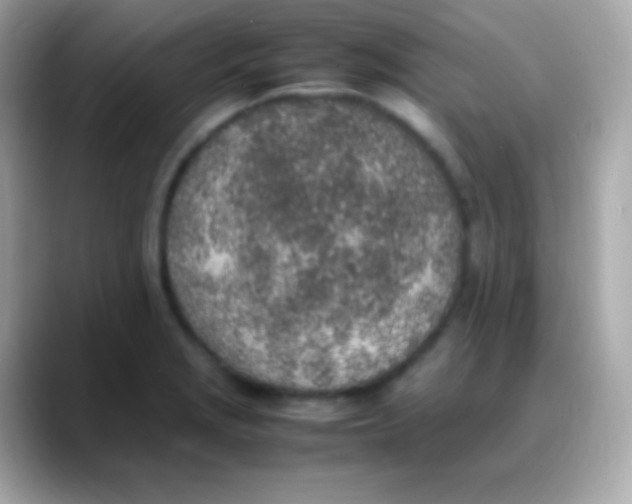 X0000088151229200706042022