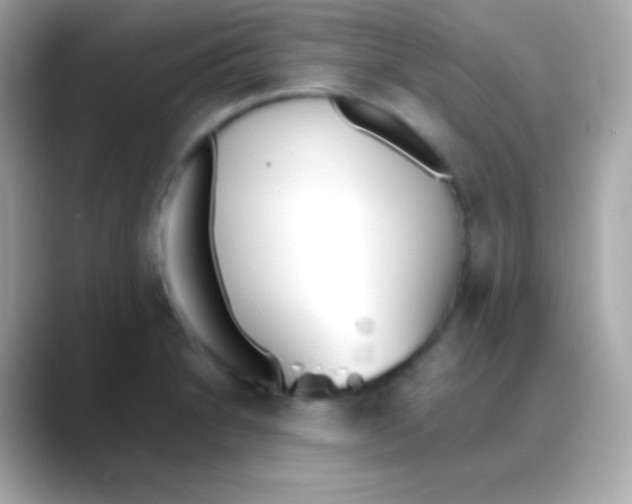 X0000088151230200706042022