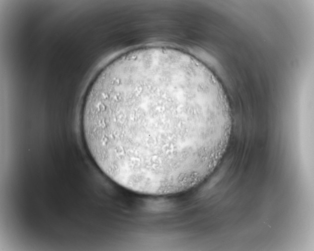 X0000088151231200706042022