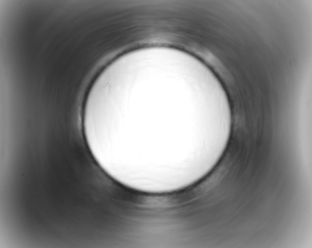 X0000088151232200706042022