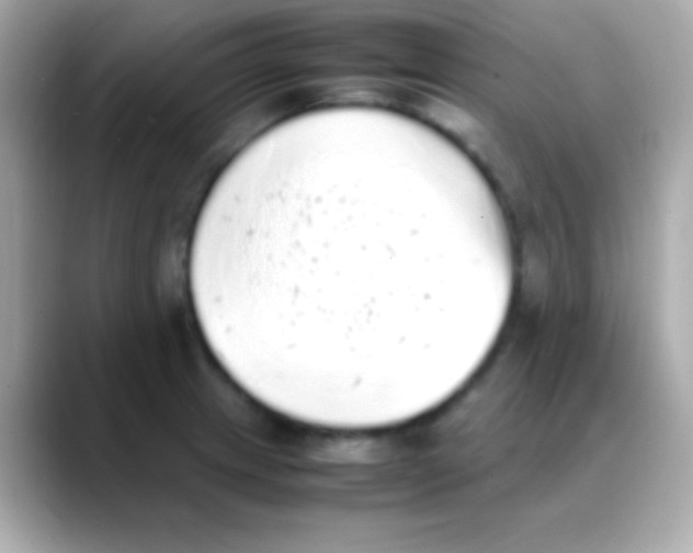 X0000088151233200706042022