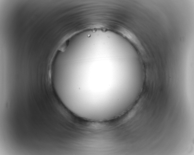 X0000088151234200706042022