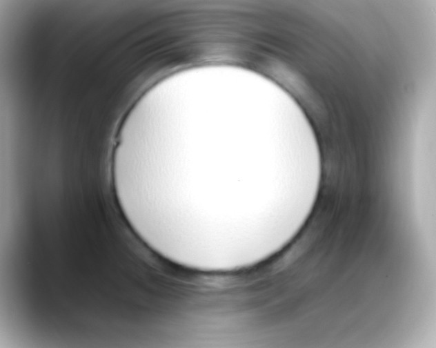 X0000088151236200706042022