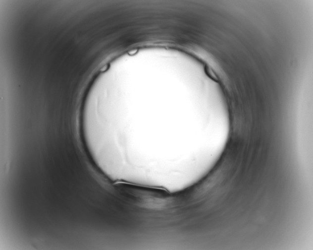 X0000088151237200706042022