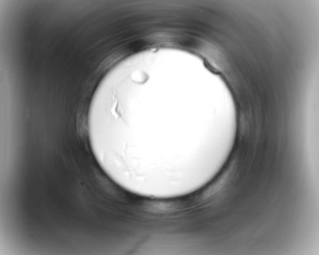 X0000088151241200706042022