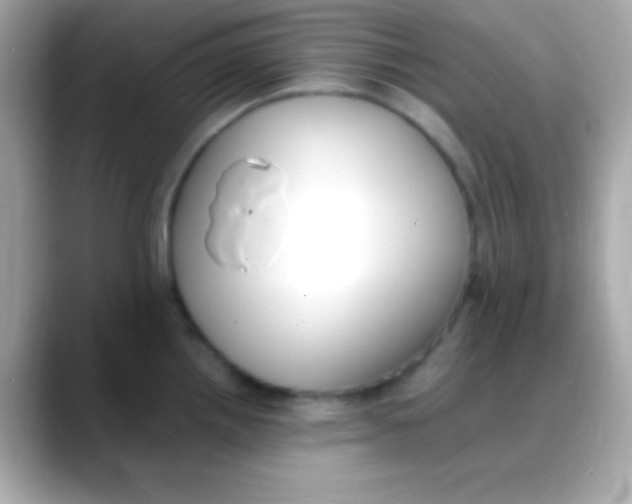 X0000088151242200706042022